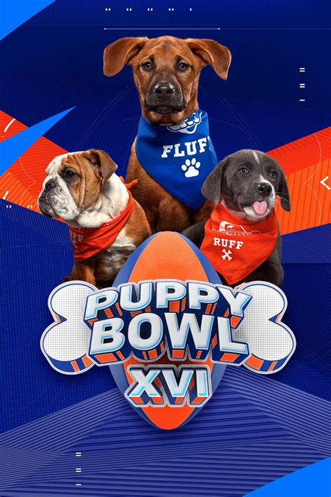 Puppy Bowl 2024 Score Gif
